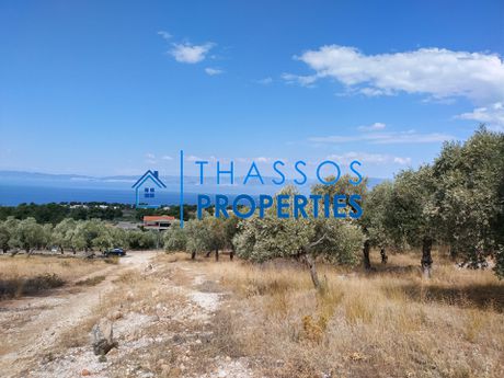 Αγροτεμάχια 900τ.μ. για πώληση-Θάσος