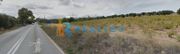 Land plot 12.000sqm for rent-Spata