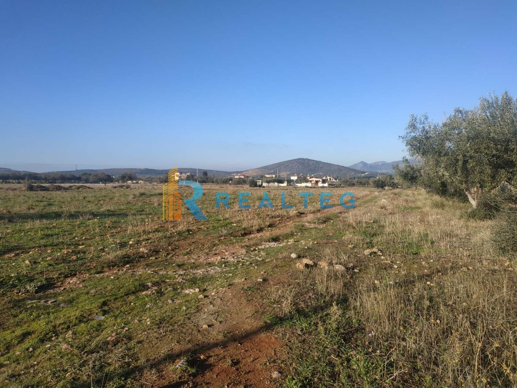 Οικόπεδο 9.500 τ.μ. πρός ενοικίαση, Αττική - Υπόλοιπο, Καλύβια Θορικού