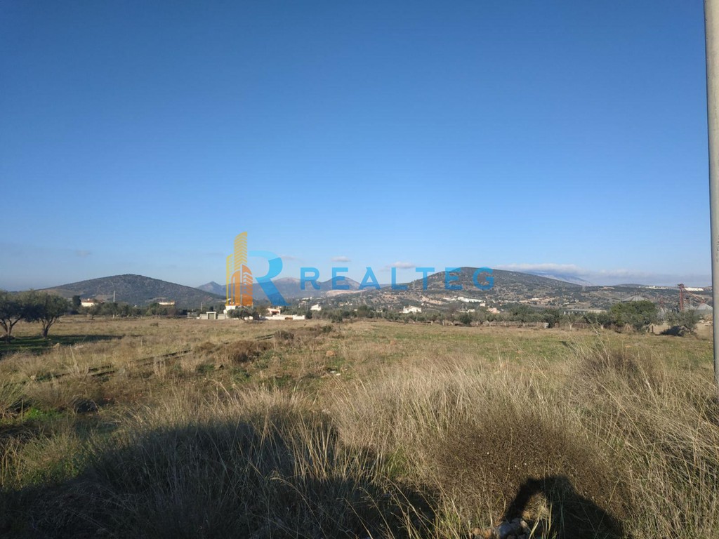 Οικόπεδο 9.500 τ.μ. πρός ενοικίαση, Αττική - Υπόλοιπο, Καλύβια Θορικού