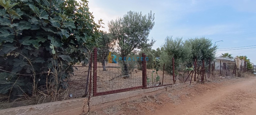 Οικόπεδο 250 τ.μ. πρός πώληση, Αθήνα - Ανατολικά Προάστια, Αρτέμιδα (λούτσα)