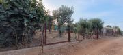 Land plot 250sqm for sale-Artemida (Loutsa)
