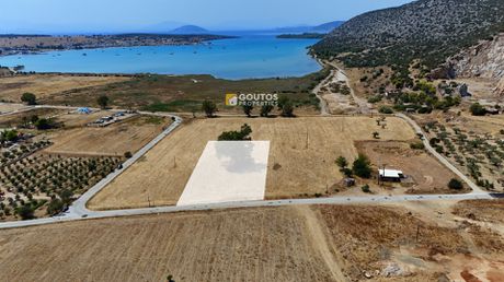 Αγροτεμάχια 4.003,15 τ.μ. για πώληση