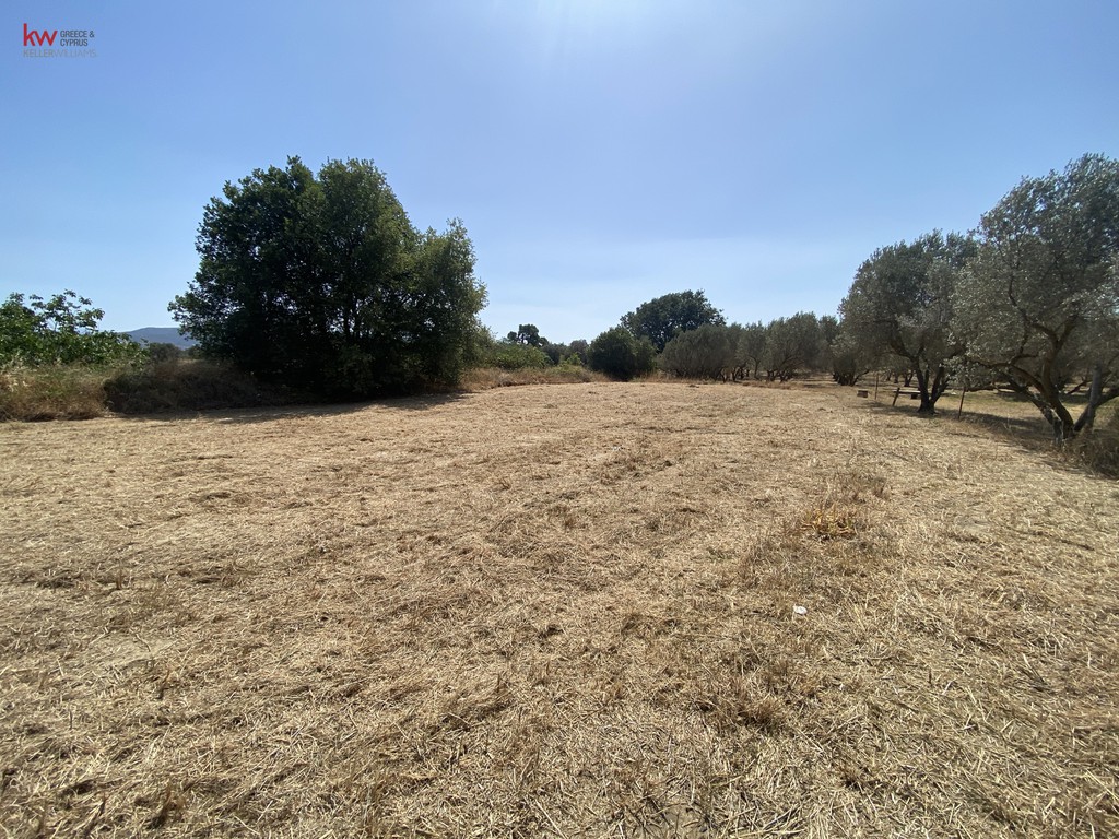 Αγροτεμάχια 1.184 τ.μ. προς πώληση, Άγιος Νικόλαος Ληλαντίου