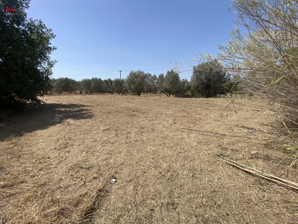 Αγροτεμάχια 1.184 τ.μ. προς πώληση, Άγιος Νικόλαος Ληλαντίου