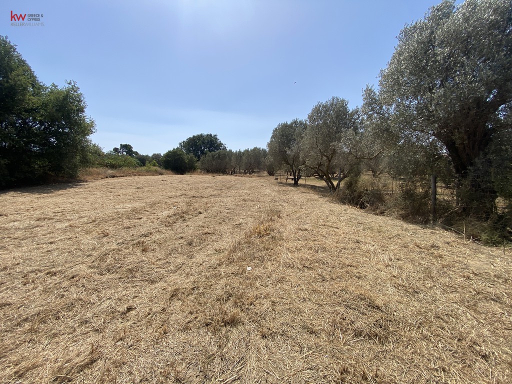 Αγροτεμάχια 1.184 τ.μ. προς πώληση, Άγιος Νικόλαος Ληλαντίου