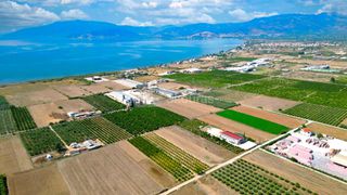 Αγροτεμάχια 4.255 τ.μ. για πώληση, Αργολίδα, Νέα Κίος-thumb-8