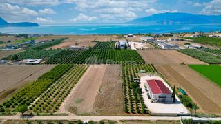Αγροτεμάχια 4.255 τ.μ. για πώληση, Αργολίδα, Νέα Κίος-thumb-24
