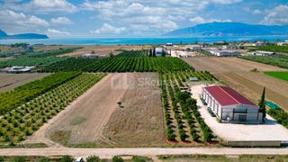 Αγροτεμάχια 4.255 τ.μ. για πώληση, Αργολίδα, Νέα Κίος-thumb-12