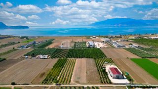 Αγροτεμάχια 4.255 τ.μ. για πώληση, Αργολίδα, Νέα Κίος-thumb-13