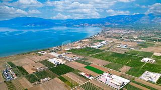 Αγροτεμάχια 4.255 τ.μ. για πώληση, Αργολίδα, Νέα Κίος-thumb-19