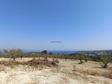 Οικόπεδο 6.000τ.μ. για πώληση-Αρμενοί