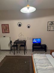 Studio / γκαρσονιέρα 25 τ.μ. για ενοικίαση, Ν. Ιωαννίνων, Ιωάννινα-thumb-5