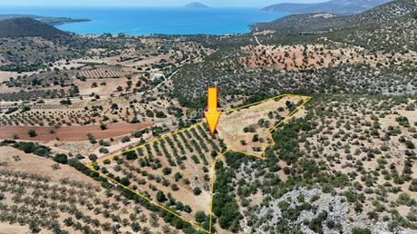 Αγροτεμάχια 26.299τ.μ. για πώληση-Κρανίδι