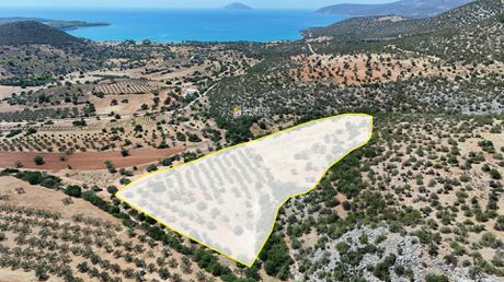 Αγροτεμάχια 26.299τ.μ. για πώληση-Κρανίδι