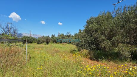 Οικόπεδο 7.040τ.μ. για πώληση-Κορωπί