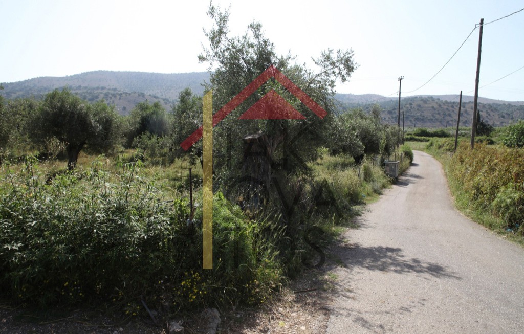 Αγροτεμάχια 5.000 τ.μ. πρός πώληση, Αιτωλοακαρνανία, Αστακός