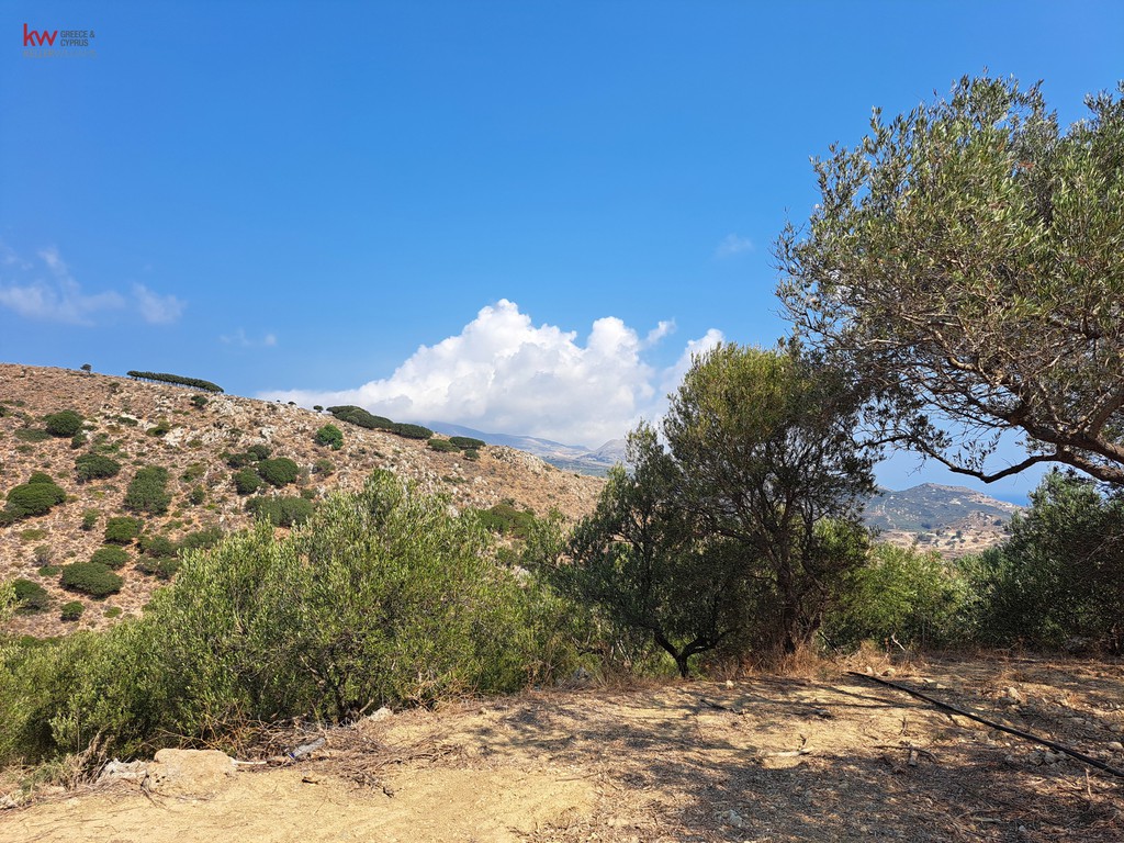 Οικόπεδο 19.762 τ.μ. προς πώληση, Μαραθοκεφάλα