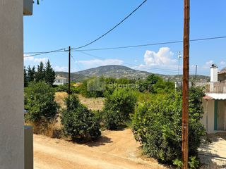 Διαμέρισμα 44 τ.μ. για ενοικίαση, Αργολίδα, Ασίνη-thumb-24