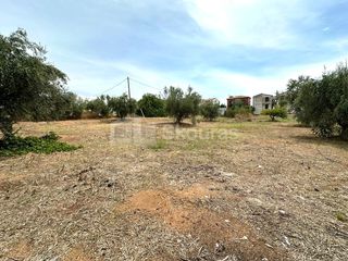 Οικόπεδο 411,21 τ.μ. για πώληση, Μεσσηνία, Μεσσήνη-thumb-9