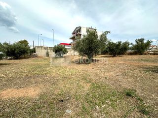 Οικόπεδο 411,21 τ.μ. για πώληση, Μεσσηνία, Μεσσήνη-thumb-13
