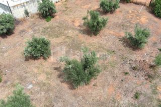 Οικόπεδο 411,21 τ.μ. για πώληση, Μεσσηνία, Μεσσήνη-thumb-16