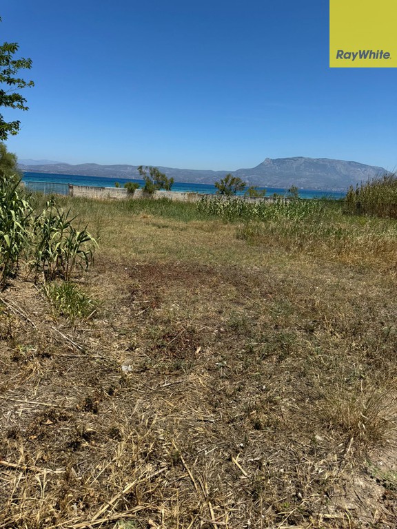 Οικόπεδο 2.480 τ.μ. προς πώληση, Άσσος Κορινθίας