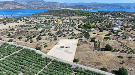 Οικόπεδο 4.004τ.μ. για πώληση-Ερμιόνη