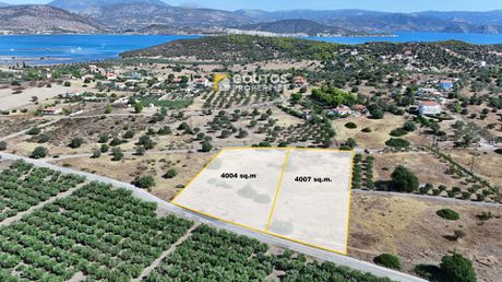 Οικόπεδο 8.011τ.μ. για πώληση-Ερμιόνη