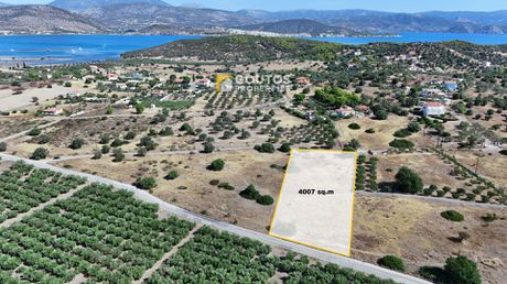 Οικόπεδο 4.007τ.μ. για πώληση-Ερμιόνη