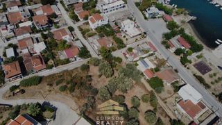 Οικόπεδο 875 τ.μ. προς πώληση, Ωρεοί-thumb-1