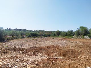 Οικόπεδο 2.124 τ.μ. προς πώληση, Αττική - Υπόλοιπο, Μαρκόπουλο-thumb-1