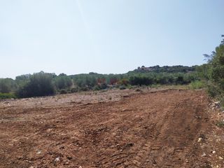Οικόπεδο 2.124 τ.μ. προς πώληση, Αττική - Υπόλοιπο, Μαρκόπουλο-thumb-2