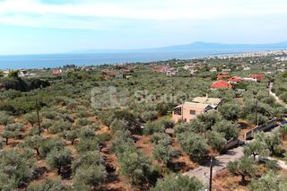 Μονοκατοικία 104 τ.μ. για πώληση, Μεσσηνία, Καλαμάτα-thumb-3