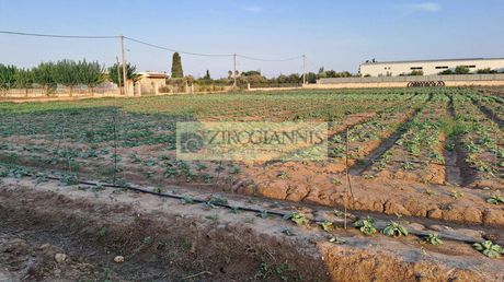 Parcel 19.000sqm for sale-Marathonas