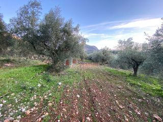 Αγροτεμάχια 5.075 τ.μ. για πώληση, Αργολίδα, Μυκήνες-thumb-12