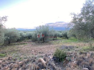 Αγροτεμάχια 5.075 τ.μ. για πώληση, Αργολίδα, Μυκήνες-thumb-19