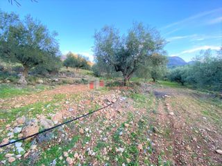 Αγροτεμάχια 5.075 τ.μ. για πώληση, Αργολίδα, Μυκήνες-thumb-15