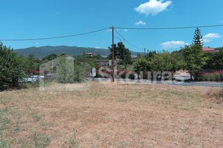 Οικόπεδο 2.347 τ.μ. για ενοικίαση, Μεσσηνία, Καλαμάτα-thumb-13