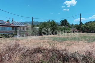 Οικόπεδο 2.347 τ.μ. για ενοικίαση, Μεσσηνία, Καλαμάτα-thumb-20