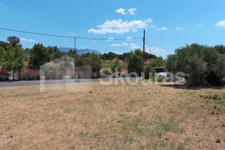 Οικόπεδο 2.347 τ.μ. για ενοικίαση, Μεσσηνία, Καλαμάτα-thumb-14