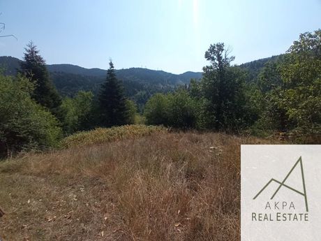 Land plot 665sqm for sale-Karpenisi