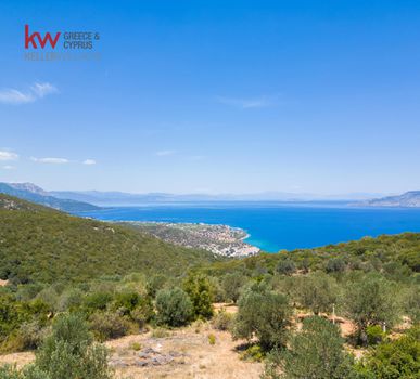 Οικόπεδο 12.800τ.μ. για πώληση-Τροιζήνα