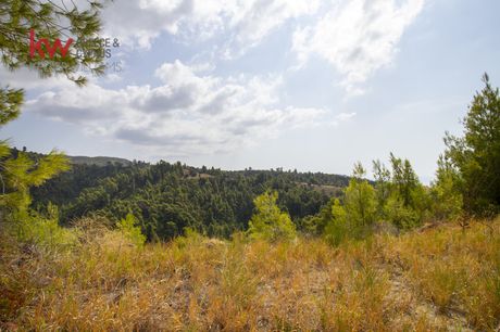 Αγροτεμάχια 5.000τ.μ. για πώληση-Κασσάνδρα