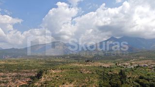 Μονοκατοικία 168,41 τ.μ. προς πώληση, Λεύκτρος-thumb-21