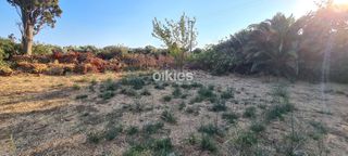Οικόπεδο 1.800 τ.μ. πρός πώληση, Ν. Χίου, Χίος-thumb-8