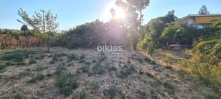 Οικόπεδο 1.800 τ.μ. πρός πώληση, Ν. Χίου, Χίος-thumb-9