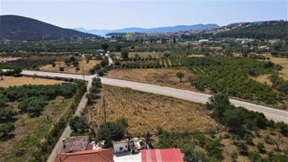 Οικόπεδο 1.962,70 τ.μ. για πώληση, Αργολίδα, Ερμιόνη-thumb-3