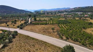 Οικόπεδο 1.962,70 τ.μ. για πώληση, Αργολίδα, Ερμιόνη-thumb-5