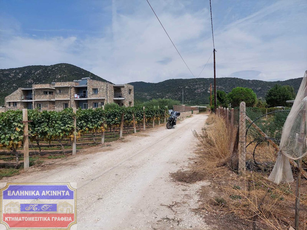 Αγροτεμάχια 4.625 τ.μ. για πώληση, Ν. Καβάλας, Ελευθερές